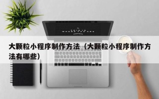 深圳大颗粒小程序制作方法（大颗粒小程序制作方法有哪些）
