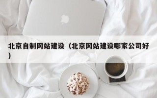 深圳北京自制网站建设（北京网站建设哪家公司好）